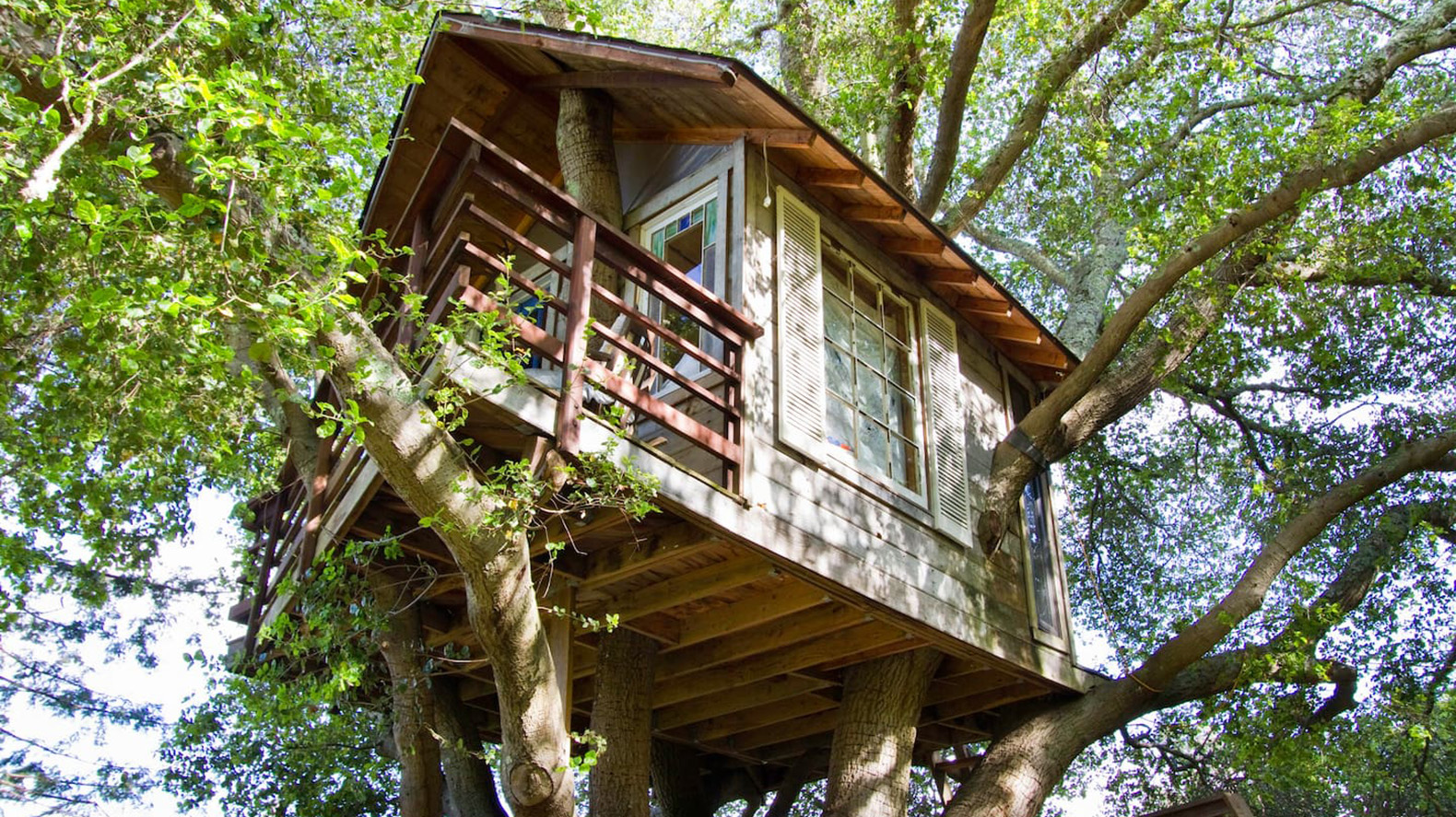 Treehouse in the San Francisco Bay Area